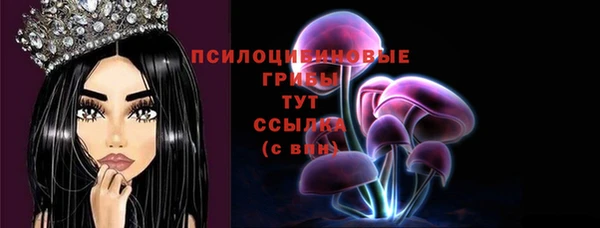 кристаллы Мегион