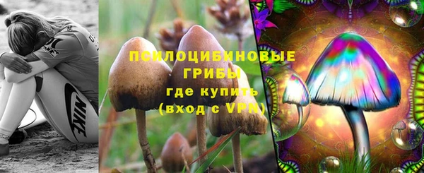 кристаллы Мегион